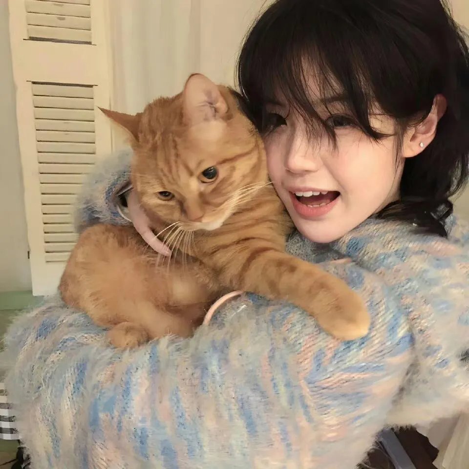 同居人是猫